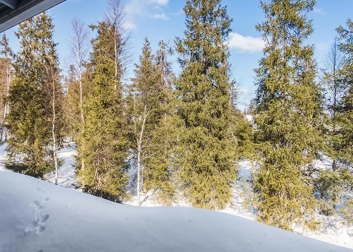 Nelikko B By Interhome Rukatunturi